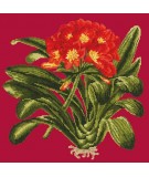 Elizabeth Bradley, Tropicals, CLIVIA - 16x16 pollici Elizabeth Bradley - 3