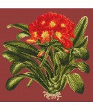 Elizabeth Bradley, Tropicals, CLIVIA - 16x16 pollici Elizabeth Bradley - 4