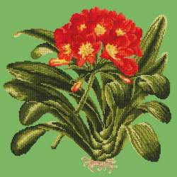 Elizabeth Bradley, Tropicals, CLIVIA - 16x16 pollici Elizabeth Bradley - 6