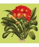 Elizabeth Bradley, Tropicals, CLIVIA - 16x16 pollici Elizabeth Bradley - 7