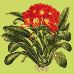 Elizabeth Bradley, Tropicals, CLIVIA - 16x16 pollici Elizabeth Bradley - 7