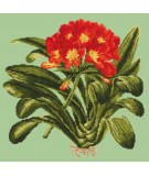 Elizabeth Bradley, Tropicals, CLIVIA - 16x16 pollici Elizabeth Bradley - 8