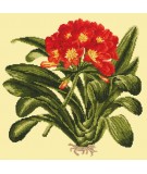 Elizabeth Bradley, Tropicals, CLIVIA - 16x16 pollici Elizabeth Bradley - 9