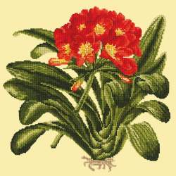 Elizabeth Bradley, Tropicals, CLIVIA - 16x16 pollici Elizabeth Bradley - 9