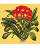 Elizabeth Bradley, Tropicals, CLIVIA - 16x16 pollici Elizabeth Bradley - 10