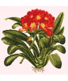 Elizabeth Bradley, Tropicals, CLIVIA - 16x16 pollici Elizabeth Bradley - 11