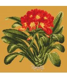 Elizabeth Bradley, Tropicals, CLIVIA - 16x16 pollici Elizabeth Bradley - 12