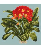 Elizabeth Bradley, Tropicals, CLIVIA - 16x16 pollici Elizabeth Bradley - 13