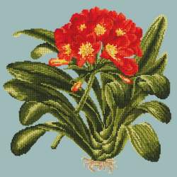 Elizabeth Bradley, Tropicals, CLIVIA - 16x16 pollici Elizabeth Bradley - 13