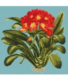 Elizabeth Bradley, Tropicals, CLIVIA - 16x16 pollici Elizabeth Bradley - 14