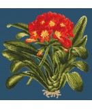 Elizabeth Bradley, Tropicals, CLIVIA - 16x16 pollici Elizabeth Bradley - 15