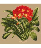 Elizabeth Bradley, Tropicals, CLIVIA - 16x16 pollici Elizabeth Bradley - 16