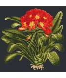 Elizabeth Bradley, Tropicals, CLIVIA - 16x16 pollici Elizabeth Bradley - 17