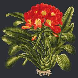 Elizabeth Bradley, Tropicals, CLIVIA - 16x16 pollici Elizabeth Bradley - 17