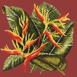 Elizabeth Bradley, Tropicals, HELICONIA - 16x16 pollici Elizabeth Bradley - 4