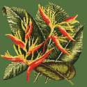 Elizabeth Bradley, Tropicals, HELICONIA - 16x16 pollici Elizabeth Bradley - 5