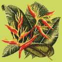 Elizabeth Bradley, Tropicals, HELICONIA - 16x16 pollici Elizabeth Bradley - 7