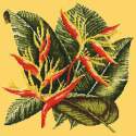 Elizabeth Bradley, Tropicals, HELICONIA - 16x16 pollici Elizabeth Bradley - 10