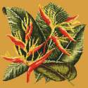 Elizabeth Bradley, Tropicals, HELICONIA - 16x16 pollici Elizabeth Bradley - 12