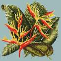 Elizabeth Bradley, Tropicals, HELICONIA - 16x16 pollici Elizabeth Bradley - 13