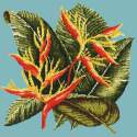 Elizabeth Bradley, Tropicals, HELICONIA - 16x16 pollici Elizabeth Bradley - 14