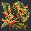 Elizabeth Bradley, Tropicals, HELICONIA - 16x16 pollici Elizabeth Bradley - 17