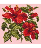 Elizabeth Bradley, Tropicals, HIBISCUS - 16x16 pollici Elizabeth Bradley - 1