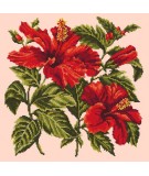 Elizabeth Bradley, Tropicals, HIBISCUS - 16x16 pollici Elizabeth Bradley - 2