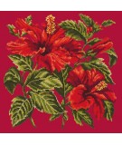 Elizabeth Bradley, Tropicals, HIBISCUS - 16x16 pollici Elizabeth Bradley - 3