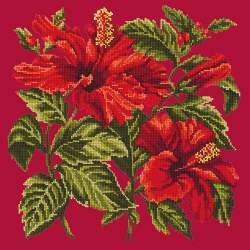 Elizabeth Bradley, Tropicals, HIBISCUS - 16x16 pollici Elizabeth Bradley - 3