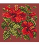 Elizabeth Bradley, Tropicals, HIBISCUS - 16x16 pollici Elizabeth Bradley - 4