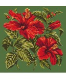 Elizabeth Bradley, Tropicals, HIBISCUS - 16x16 pollici Elizabeth Bradley - 5