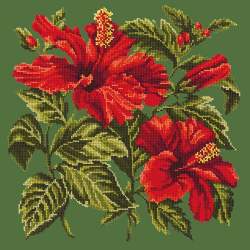 Elizabeth Bradley, Tropicals, HIBISCUS - 16x16 pollici Elizabeth Bradley - 5