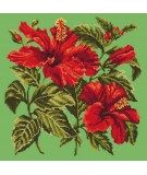 Elizabeth Bradley, Tropicals, HIBISCUS - 16x16 pollici Elizabeth Bradley - 6