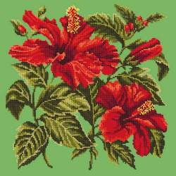 Elizabeth Bradley, Tropicals, HIBISCUS - 16x16 pollici Elizabeth Bradley - 6