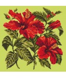 Elizabeth Bradley, Tropicals, HIBISCUS - 16x16 pollici Elizabeth Bradley - 7