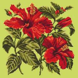 Elizabeth Bradley, Tropicals, HIBISCUS - 16x16 pollici Elizabeth Bradley - 7