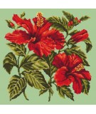 Elizabeth Bradley, Tropicals, HIBISCUS - 16x16 pollici Elizabeth Bradley - 8