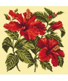 Elizabeth Bradley, Tropicals, HIBISCUS - 16x16 pollici Elizabeth Bradley - 9