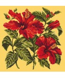 Elizabeth Bradley, Tropicals, HIBISCUS - 16x16 pollici Elizabeth Bradley - 10