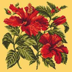 Elizabeth Bradley, Tropicals, HIBISCUS - 16x16 pollici Elizabeth Bradley - 10