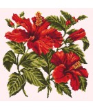 Elizabeth Bradley, Tropicals, HIBISCUS - 16x16 pollici Elizabeth Bradley - 11