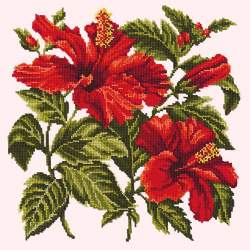 Elizabeth Bradley, Tropicals, HIBISCUS - 16x16 pollici Elizabeth Bradley - 11