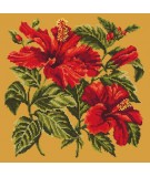 Elizabeth Bradley, Tropicals, HIBISCUS - 16x16 pollici Elizabeth Bradley - 12