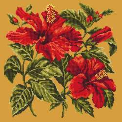 Elizabeth Bradley, Tropicals, HIBISCUS - 16x16 pollici Elizabeth Bradley - 12