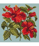 Elizabeth Bradley, Tropicals, HIBISCUS - 16x16 pollici Elizabeth Bradley - 13