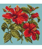 Elizabeth Bradley, Tropicals, HIBISCUS - 16x16 pollici Elizabeth Bradley - 14