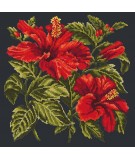 Elizabeth Bradley, Tropicals, HIBISCUS - 16x16 pollici Elizabeth Bradley - 17