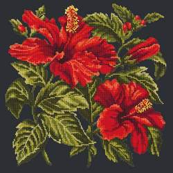 Elizabeth Bradley, Tropicals, HIBISCUS - 16x16 pollici Elizabeth Bradley - 17