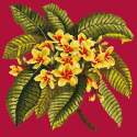 Elizabeth Bradley, Tropicals, FRANGIPANI - 16x16 pollici Elizabeth Bradley - 3